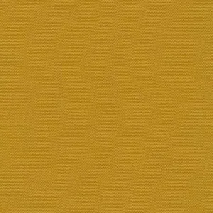 Big Sur Canvas in Mustard