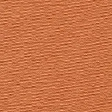 Big Sur Canvas Veggie Orange
