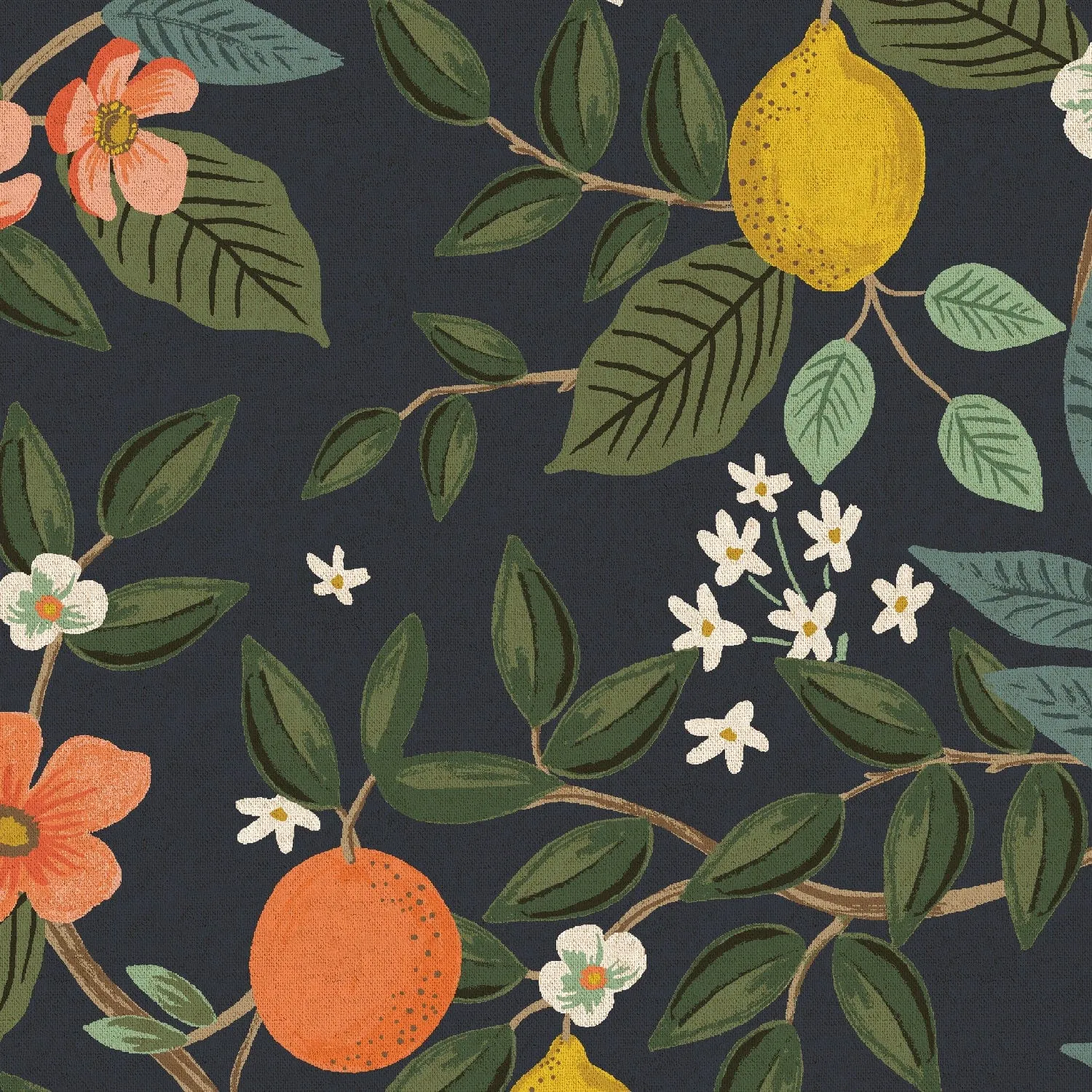 Citrus Grove in Navy - CANVAS - Bramble by Rifle Paper Co.